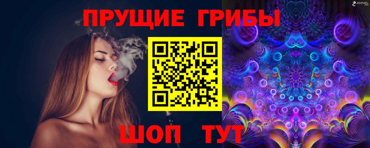 Псилоцибиновые грибы Psilocybe Черногорск